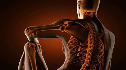 3D Glowing Human Skeleton and Spine Anatomy Medical Visualization