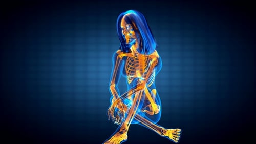 3D X-Ray Style Rotating Female Skeleton Anatomy