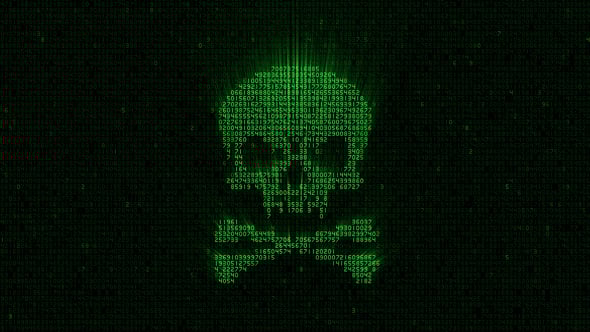 Matrix Skull, Backgrounds Motion Graphics ft. code & computer - Envato