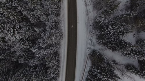 Car Driving on Winter Country Road in Snowy Forest,