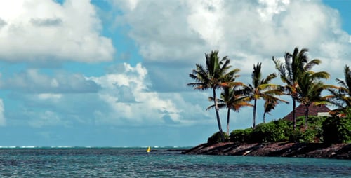 Ocean Landscape