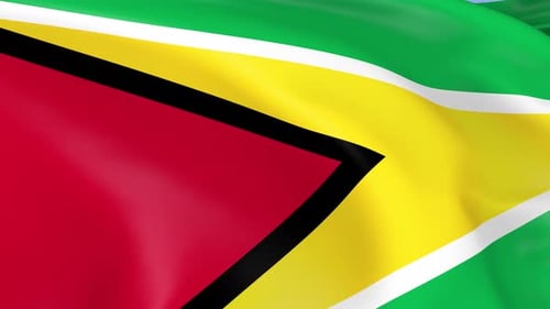 Waving Flag of Guyana