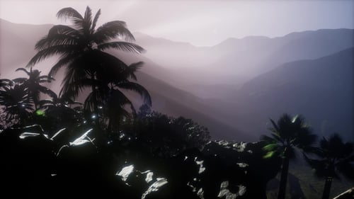 Misty Mountain Landscape with Tropical Palm Trees and Sun Rays