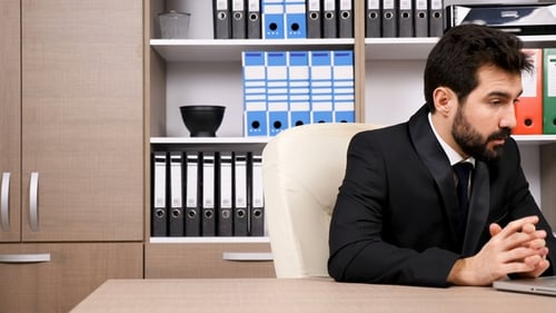 Adult Professional Speaking on Laptop in Office