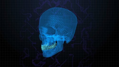 Digitaler Cyber Totenkopfkopf