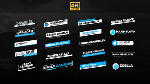 Animated Professional Lower Thirds for Corporate Videos