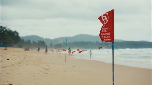 Red "No Swimming" Flags Waving on a Beach