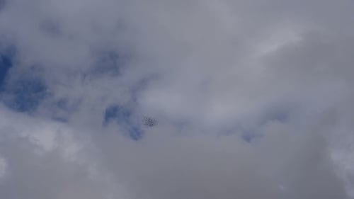 Flock of Birds Flying Through Cloudy Blue Sky