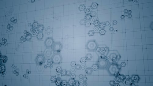 Hive Network