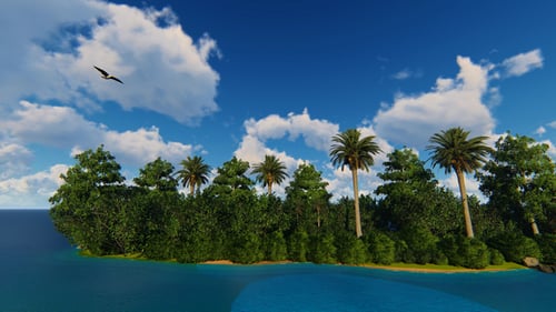 Island