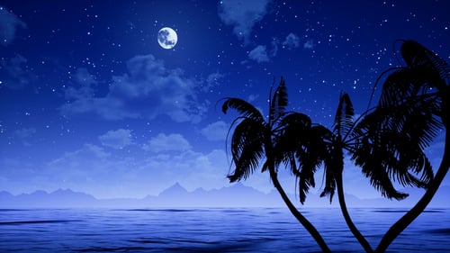 Palmen am Meer und bewegen den Mond