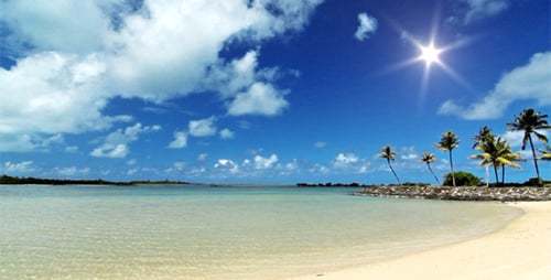 Tropical Beach