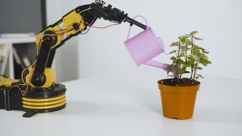 Robot Arm Is Watering a Flower. Experiment with Intelligent Manipulator. Industrial Robot Model