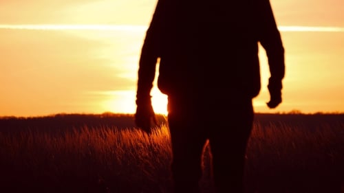 Silhouette of a Man with Hands Raised in the Sunset. Man with His Arms Wide Open. Go To the Sunset