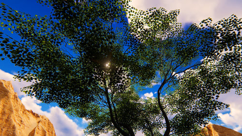 Lush Green Tree Animation in Desert with Sun Flares