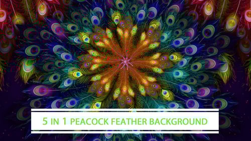Vibrant Peacock Feather Kaleidoscope Mandala Animated Background
