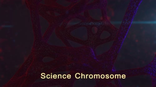 Science Chromosome