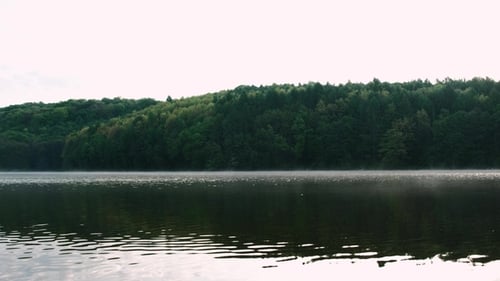 Fog Over the River on a Morning Summer Day. Beautiful Scenery on the Background of Water with Grass