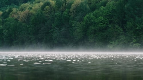 Fog Over the River on a Morning Summer Day. Beautiful Scenery on the Background of Water with Grass