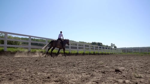 Young Man Ride Horse Farm Animal with Blue Sky in Background