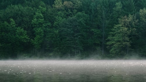 Fog Over the River on a Morning Summer Day. Beautiful Scenery on the Background of Water with Grass