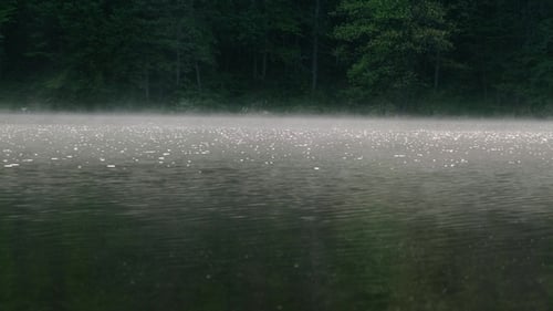 Fog Over the River on a Morning Summer Day. Beautiful Scenery on the Background of Water with Grass