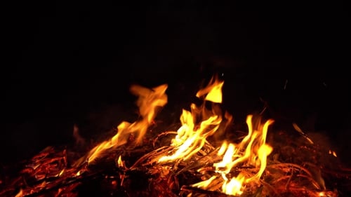 Brennendes Feuer in der Natur. Helle Flammen.