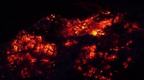 Coals in the Fire