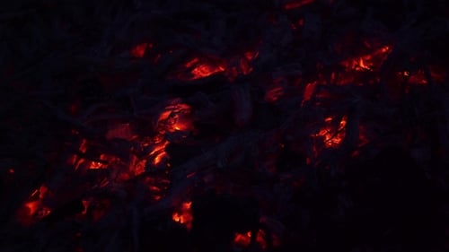Coals in the Fire