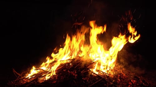 Le feu brûlant dans la nature. Flammes brillantes.