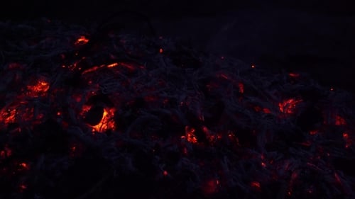 Coals in the Fire