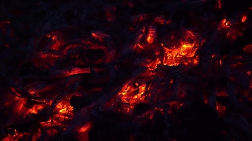 Coals in the Fire