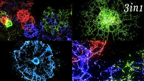 Fluid Firework - VJ Loop Pack (3in1)