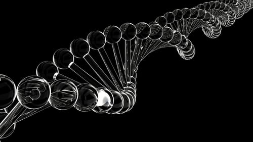 Glass DNA Able To Loop