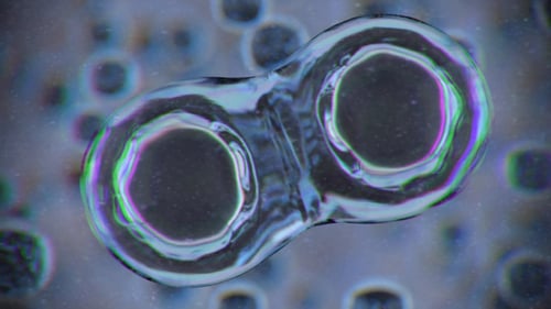 Abstract Cells Dividing Fluid Animation Loop