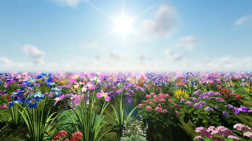 3D Beatiful Flowers