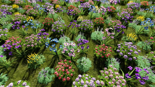 Vue de dessus 3D des fleurs