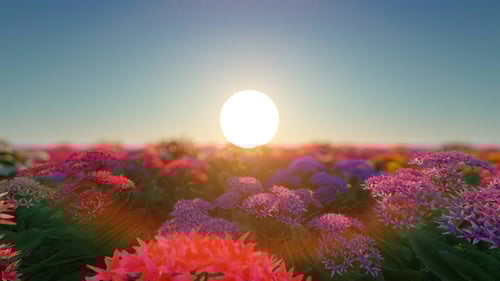3D Flower Field