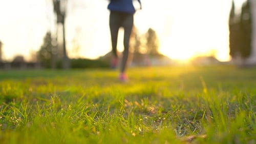 Young Adult Tying Shoelaces in Golden Light