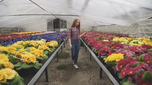 Woman Walking Through Rows of Flowers in Greenhouse