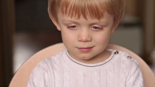 Portrait of a Little Boy Who Stares at the Cartoon