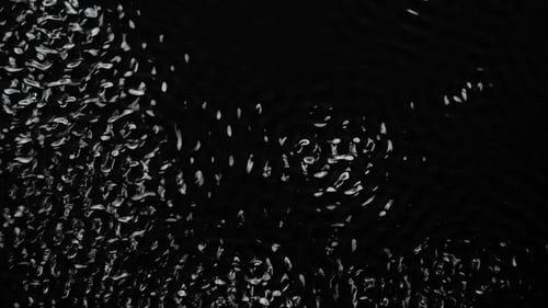 Abstract Ripples on Black and White Background