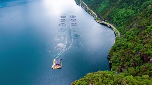 Imágenes aéreas Pesca de salmón de granja en Noruega
