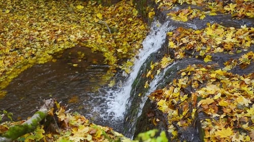 Rusyliv Waterfalls Cascade on a Small Stream