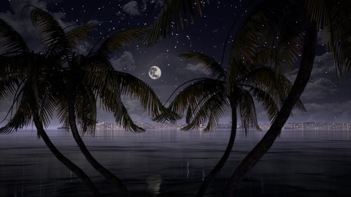 Tropical Night Moon with Swaying Palm Trees Animation
