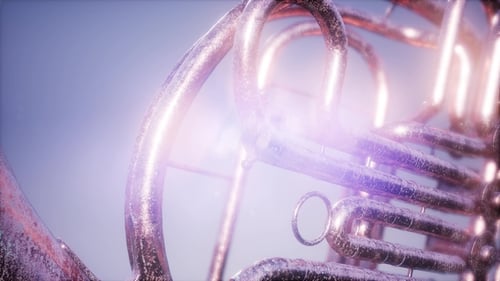 French Horn