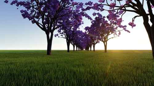 Pink Trees at Sunset