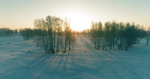 Aerial Drone View of Cold Winter Landscape with Arctic Field, Trees Covered with Frost Snow