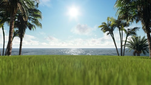 Animated Tropical Beach Landscape with Ocean and Palm Trees