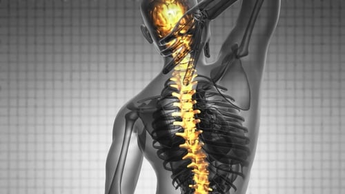 Human Spine 3D Animation with Glowing Area Illustrating Pain